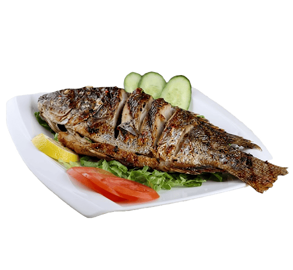 Fish plate (فيش بلاتي)